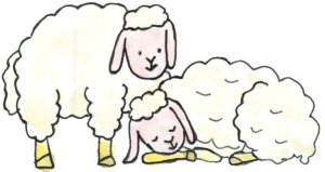 二匹の羊のイラスト、よい羊飼の周りで安心してスヤスヤ
