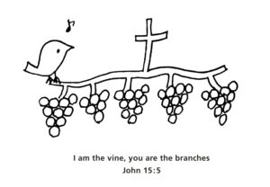 ヨハネ１５章５節　わたしはぶどうの木